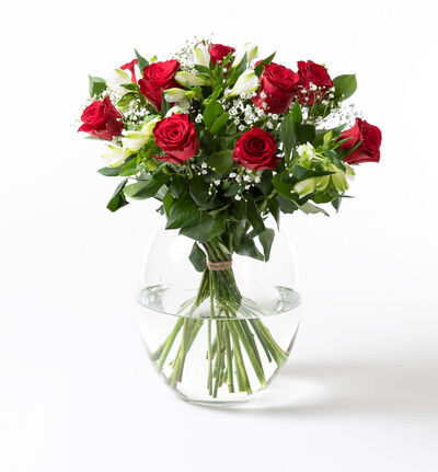 Rød Rosebukett med slør Rød Rosebukett med slør